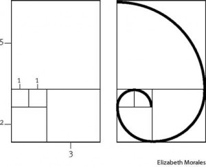 Fibonacci sequence from WolfieWolfgang.com