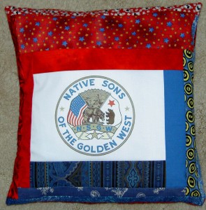 2011 NSGW Seal Pillow #1