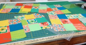 Sew What Quilts WIP