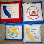 2014 NSGW Pillows Complete