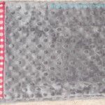 September College Pillowcase