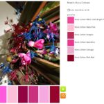 ColorPlay: DeYoung Flowers n.2