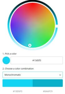 Canva Monochromatic Color Palette