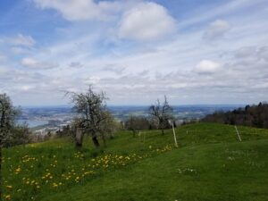 Pfaender to Bodensee