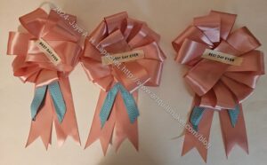 Shower prize ribbons