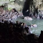 In the Sea Lion Cave