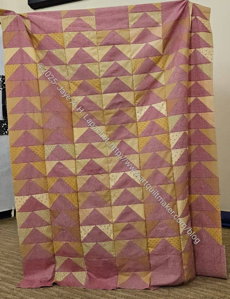 Lee Ann's Flying Geese quilt