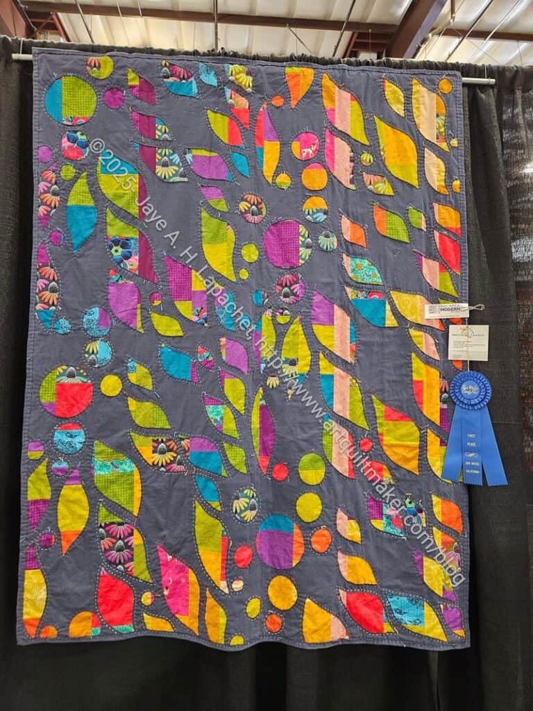 Lee Ann's Cozy quilt