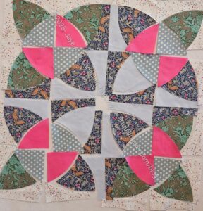 Flower 3 before transformation