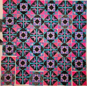 Lupine, early Feb. 2026