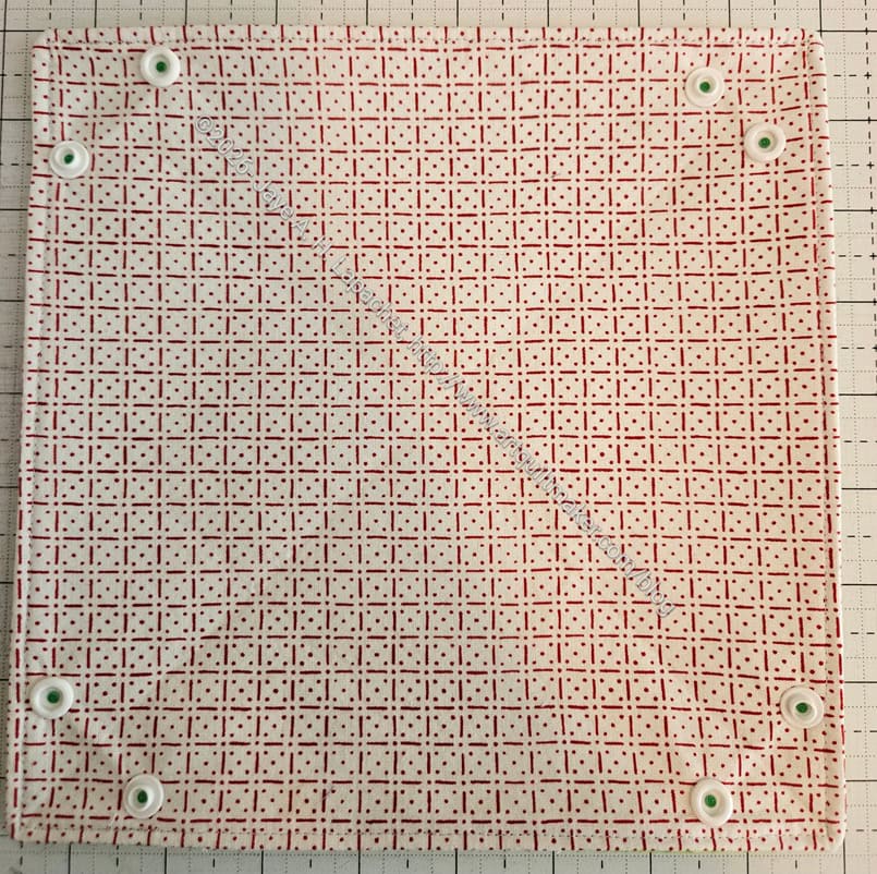 How Snaps should look after installation