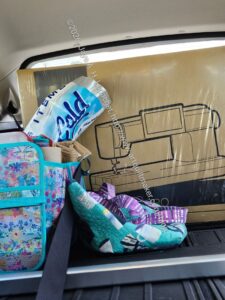 Elna machine in the car