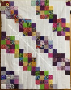 Sew Day donation top