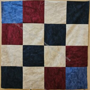 2026 Wheelchair quilt top #1