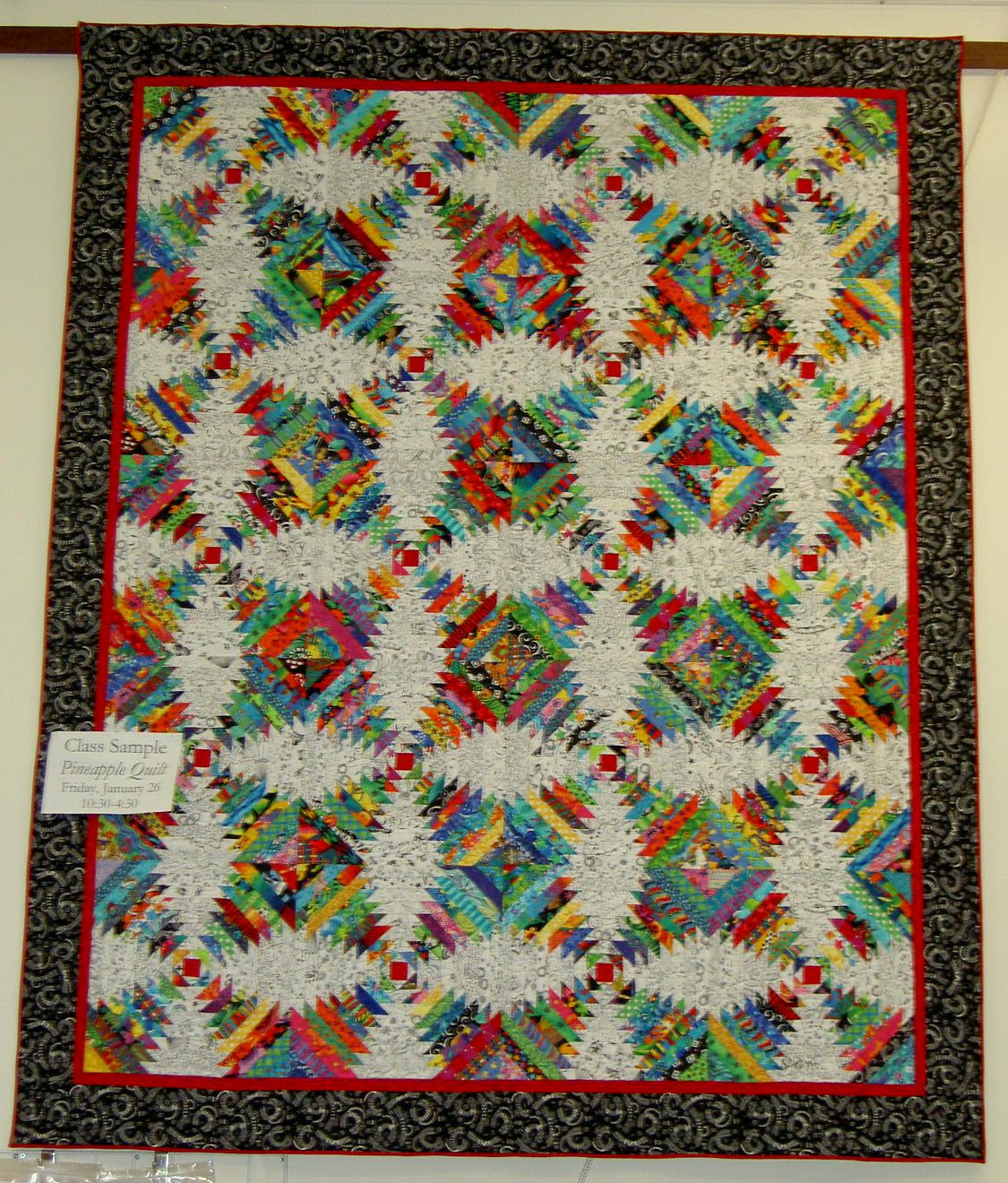 Quiltville's Quips & Snips!!: Caught by the Color Catcher!